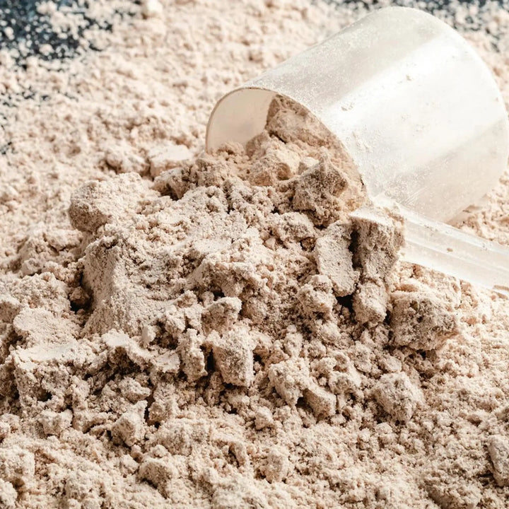 Proteina Protein de WAKEUP en colombia